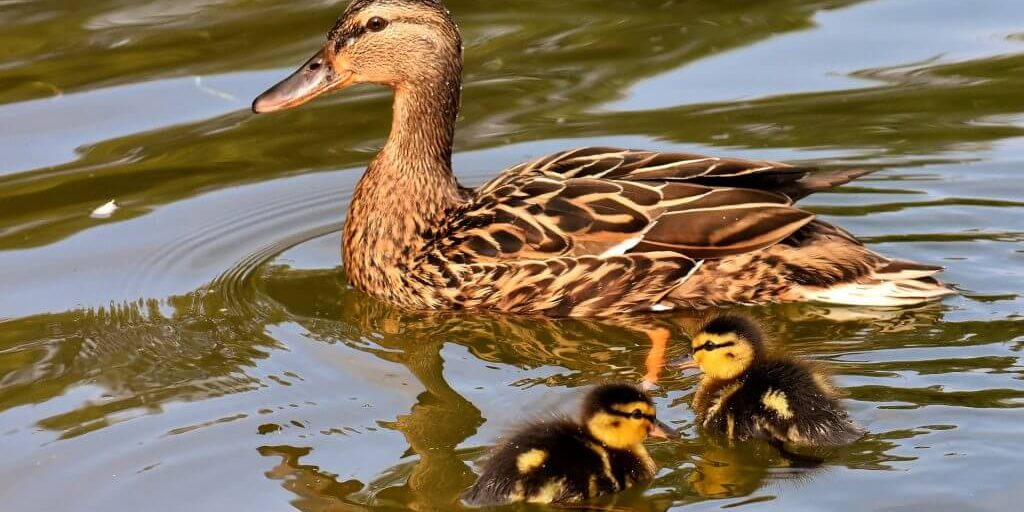 Que nadie se quede atrás.